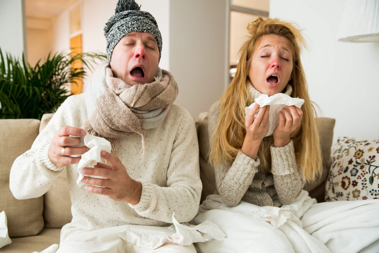 Cold and Fever Care