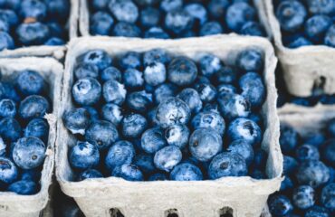 antioxidant rich blueberries